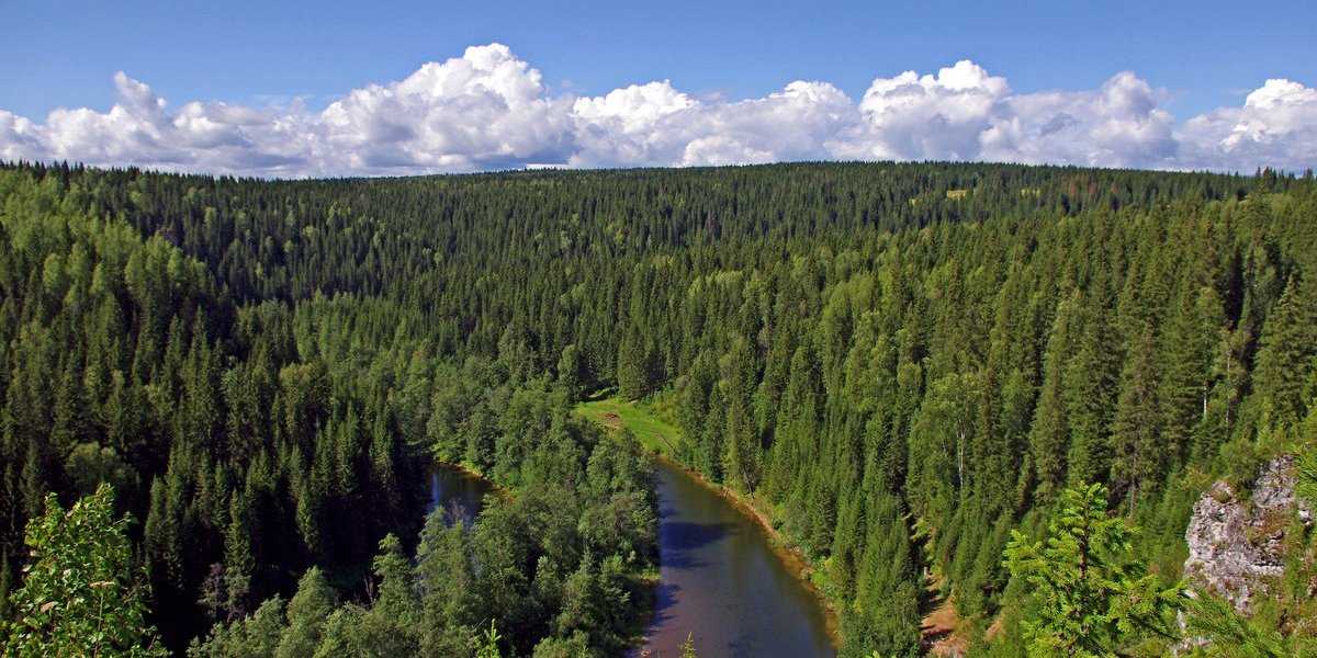 Украина разбушевалась. Киев требует от Германии репараций, от России – Сибирь и север Казахстана