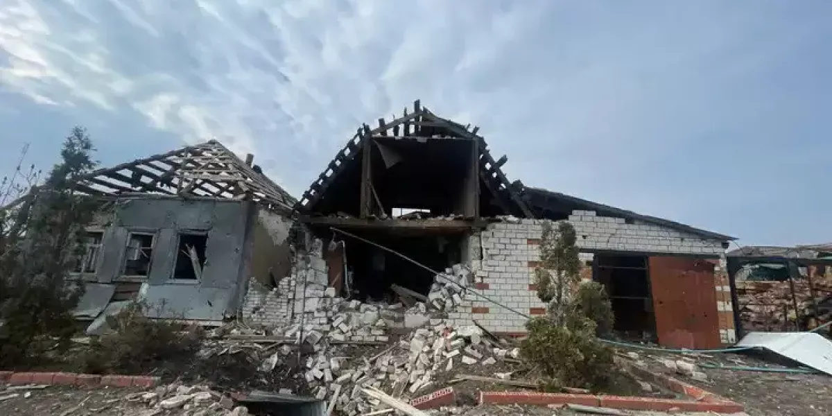 Свиньи-людоеды и заминированные трупы: финский журналист рассказал о бегстве ВСУ из Курской области