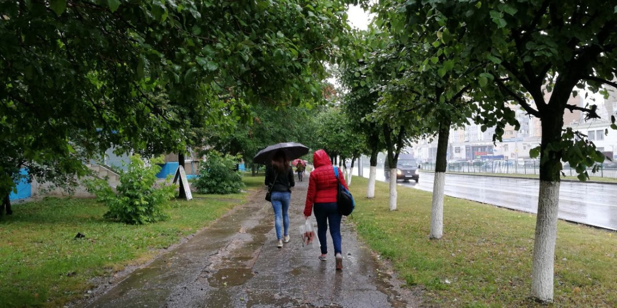 Резкое похолодание до +8°C и затяжные дожди: Вильфанд предупредил о осенней погоде в центре России