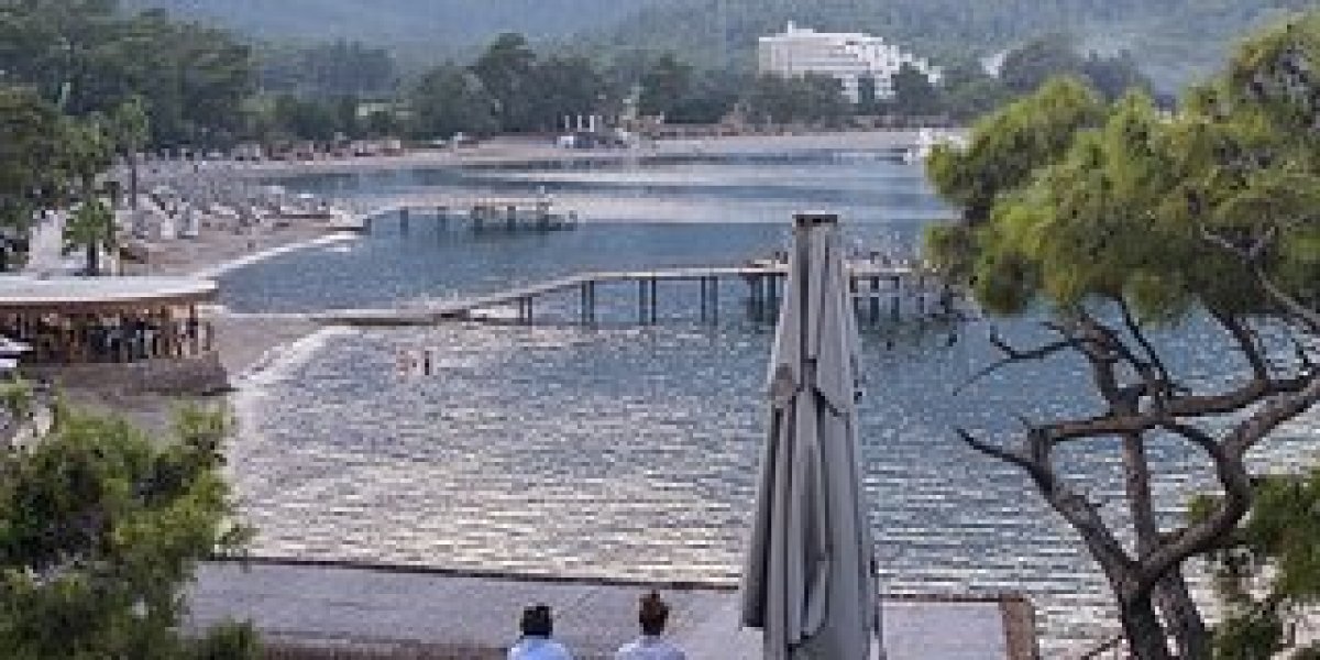 Как россияне путешествуют по миру бесплатно: раскрыты секреты 