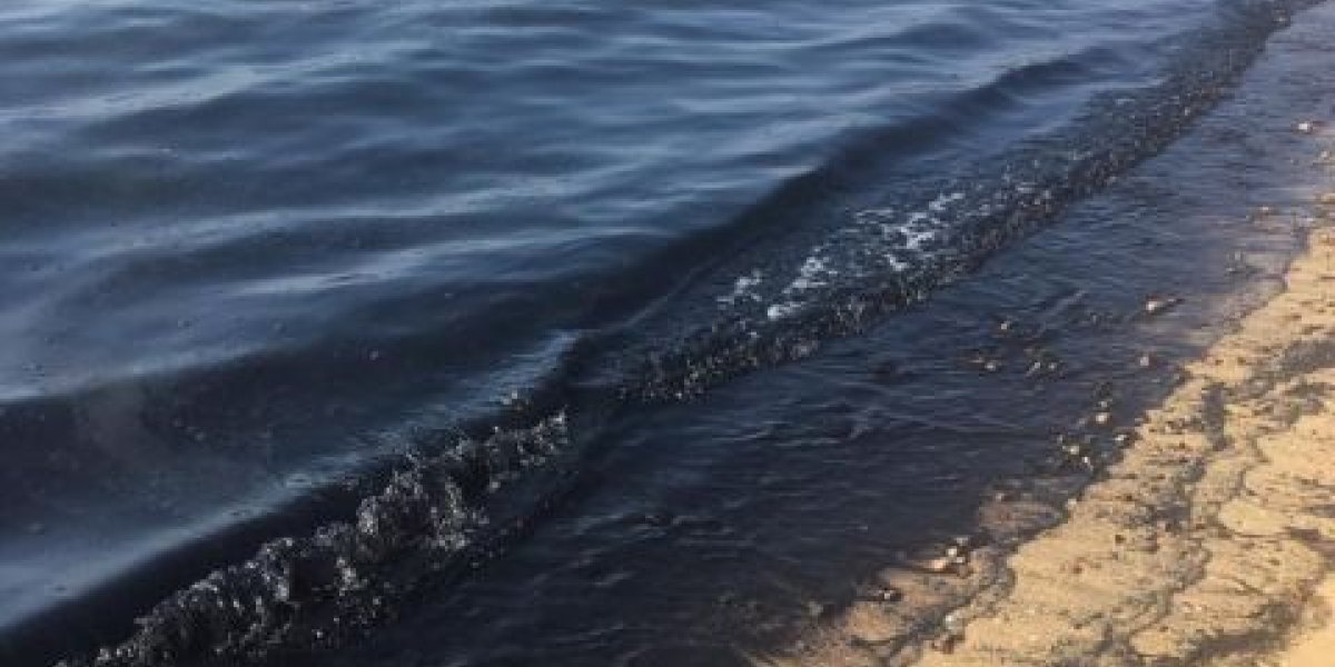 Завершена масштабная операция по очистке дна Черного моря у берегов Анапы Завершена масштабная операция по очистке дна Черного моря у берегов Анапы