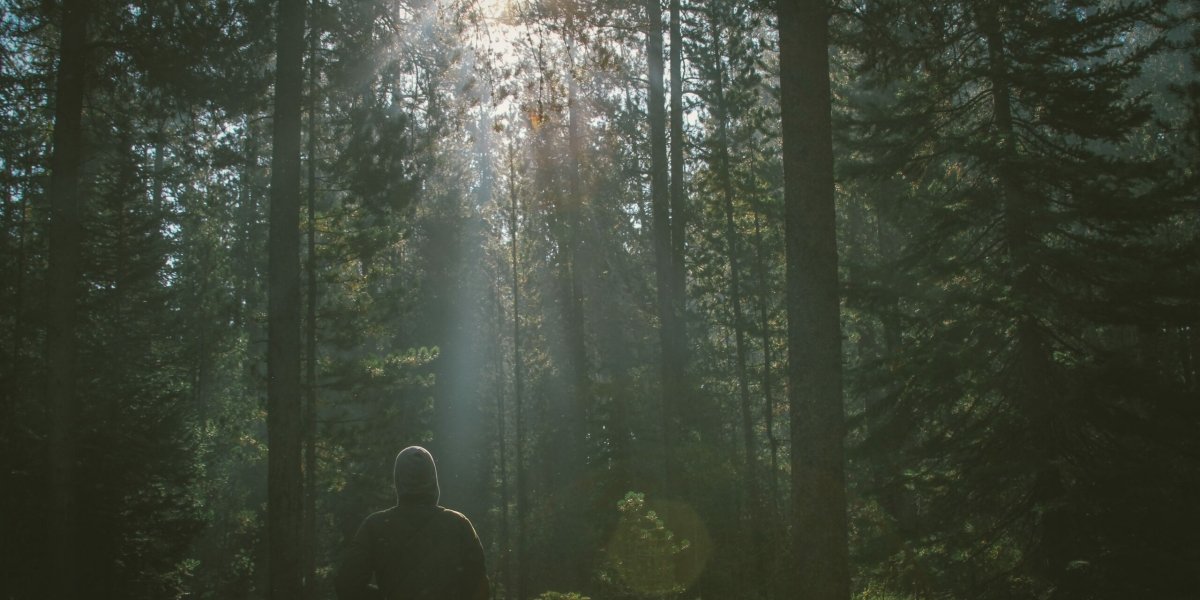 Свобода под открытым небом: почему россияне обладают уникальным правом на отдых на природе Свобода под открытым небом: почему россияне обладают уникальным правом на отдых на природе