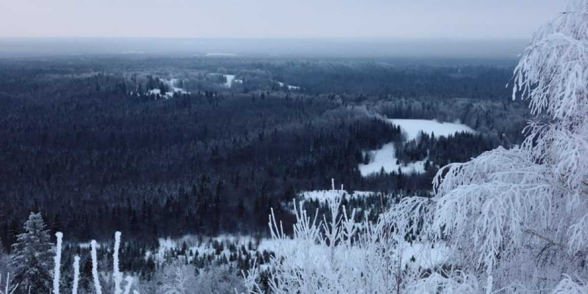 Молчавший телефон пропавшей в тайге семьи Усольцевых подал сигнал. «В том квадрате мы ещё не были» Молчавший телефон пропавшей в тайге семьи Усольцевых подал сигнал. «В том квадрате мы ещё не были»