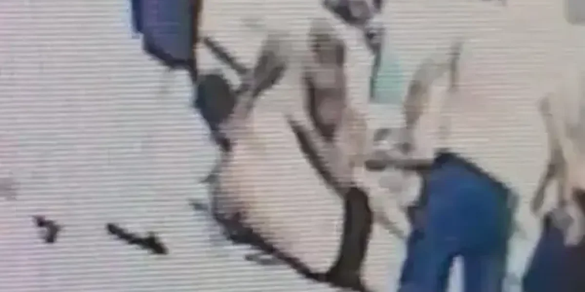 В драке в «луганском бассейне»чеченец Берсаев стал потерпевшим. Бойца ММА Дивнича отдают под суд В драке в «луганском бассейне»чеченец Берсаев стал потерпевшим. Бойца ММА Дивнича отдают под суд