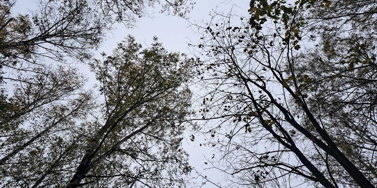 Московский погодный коллапс: Треть месячной нормы осадков за одни сутки