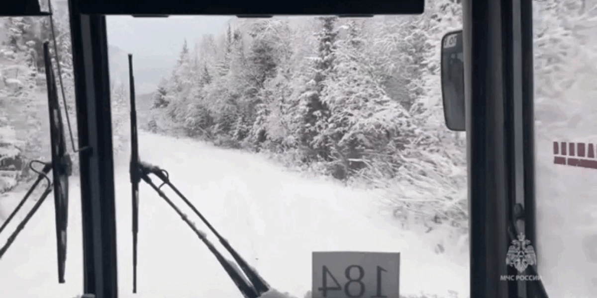 Молчавший телефон пропавшей в тайге семьи Усольцевых подал сигнал. «В том квадрате мы ещё не были» Молчавший телефон пропавшей в тайге семьи Усольцевых подал сигнал. «В том квадрате мы ещё не были»