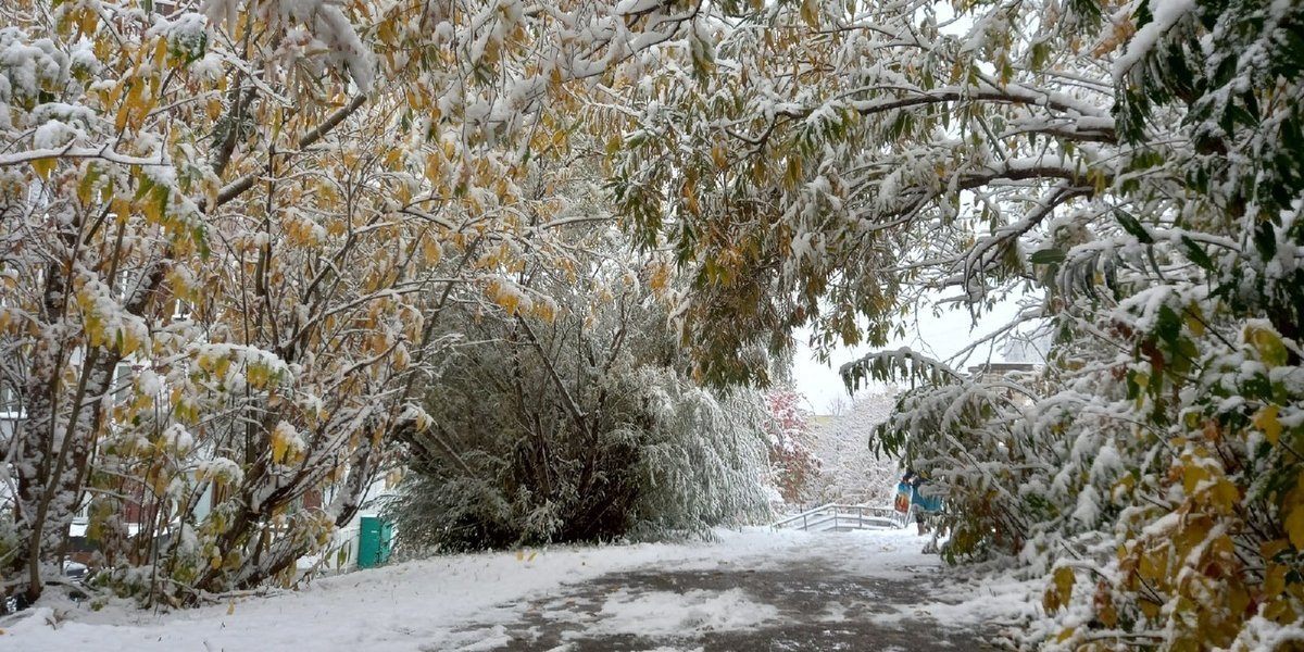 Две самые точные приметы на Покров: о чем расскажет погода 14 октября