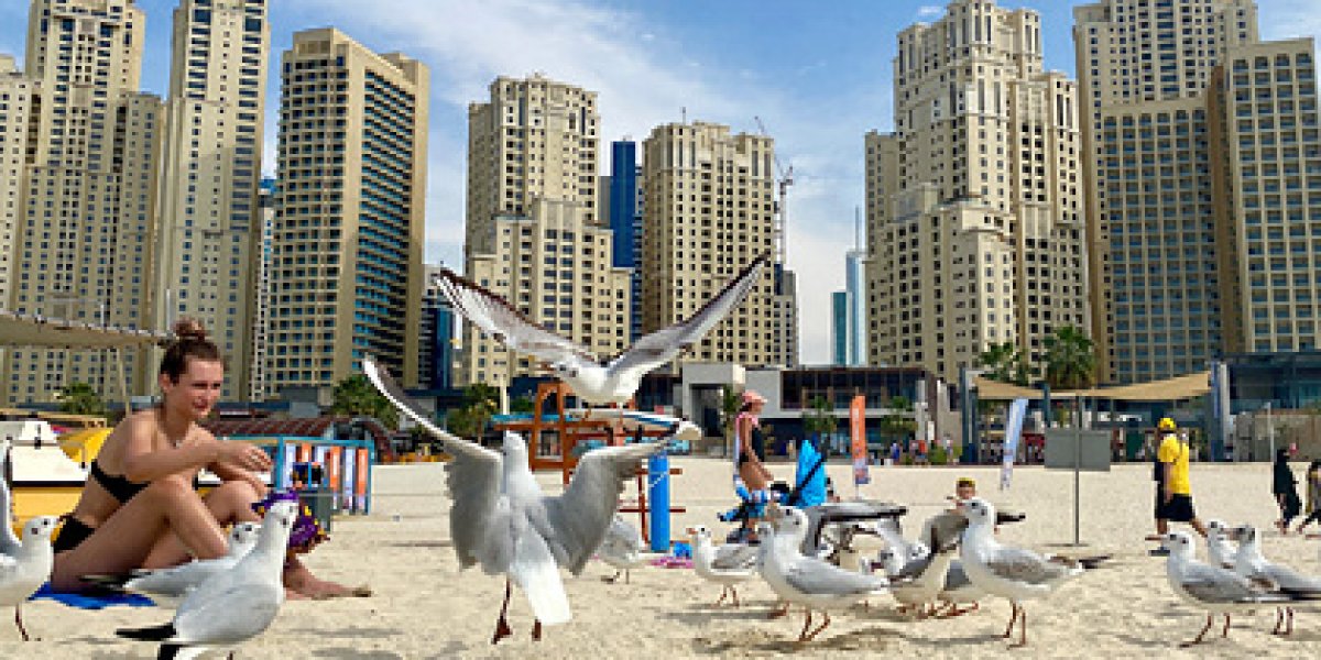 Россияне массово отказываются от ОАЭ: раскрыты настоящие причины Россияне массово отказываются от ОАЭ: раскрыты настоящие причины