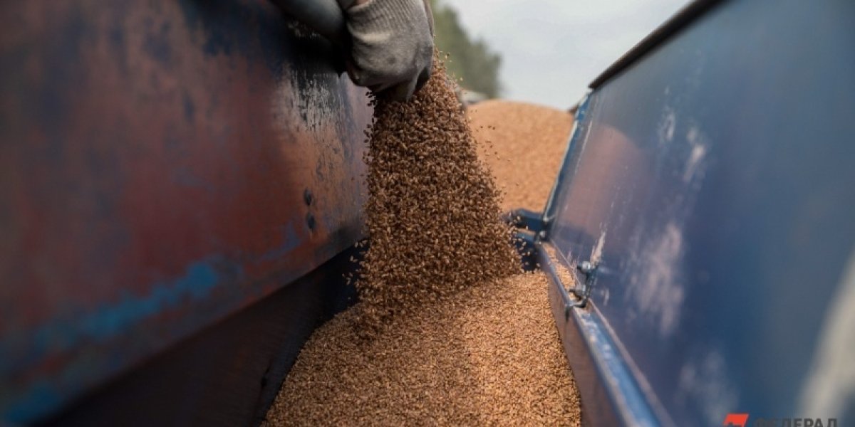 Путин получил большой подарок от EC: Украину выгнали с рынков зерна Путин получил большой подарок от EC: Украину выгнали с рынков зерна